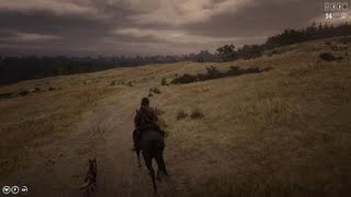 Le meilleur ami de l'homme - Red Dead Redemption 2