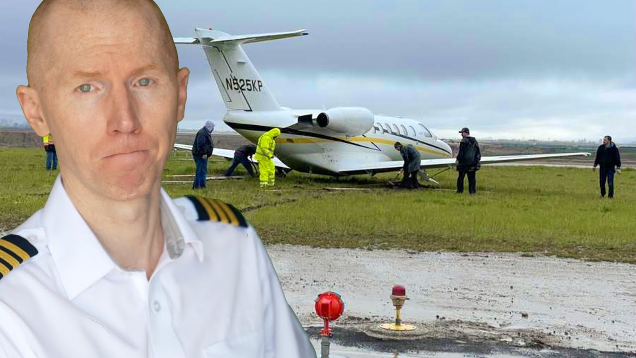 I LIVED Through Every Pilot's Worst NIGHTMARE Bird Strike