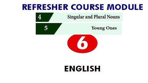 Refresher module| 6th English| unit 4,5 with answer key|singular plural nous,young ones with answers