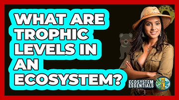 What Are Trophic Levels in an Ecosystem?