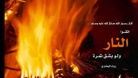 ما تيسر من سورة التحريم - سلمان العتيبي