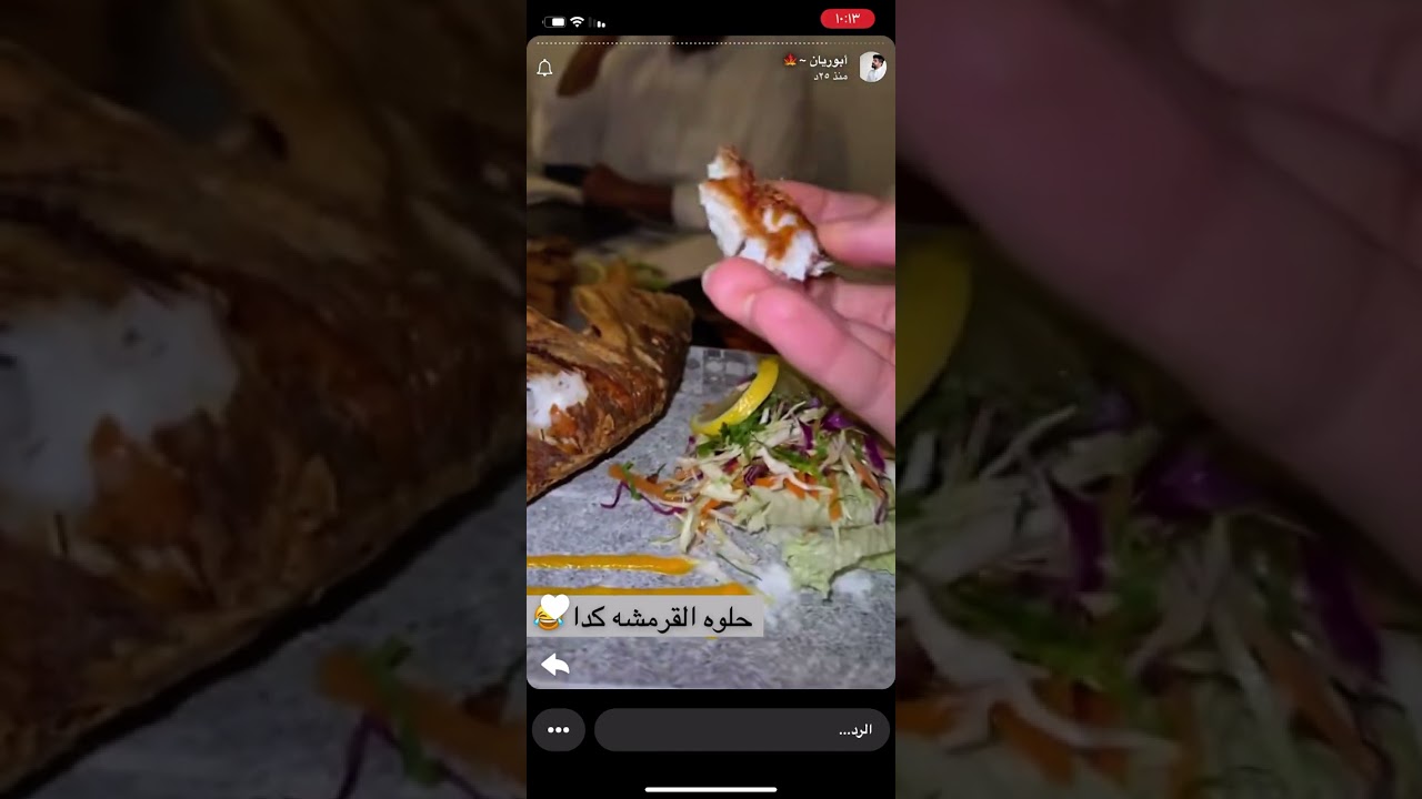 وليد عزم شباب