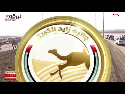 ش19 العزوم ل مظفر غلام موسى أحمد البلوشي مهرجان جائزة زايد الكبرى 24 11 2025ص حقايق بكار 5 56 16