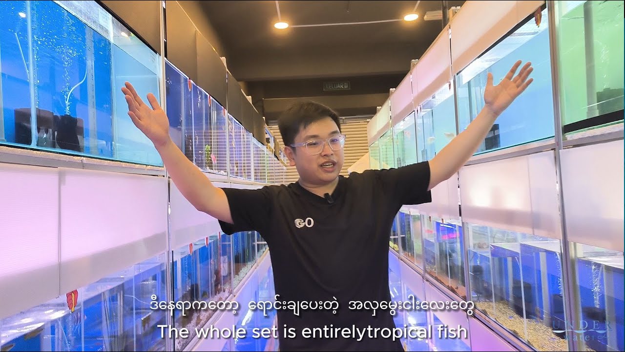 တစ်ဆိုင်နဲ့တစ်ဆိုင်မတူအောင် မိမိုက်နေတဲ့  မလေးကငါးဆိုင်။