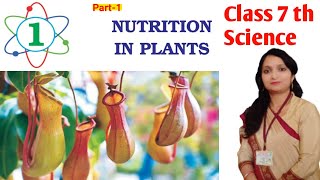 Celebrity Class 7 th Science Chapter -1 l Nutrition in Plants ll Part -1 ll PSEB Profile