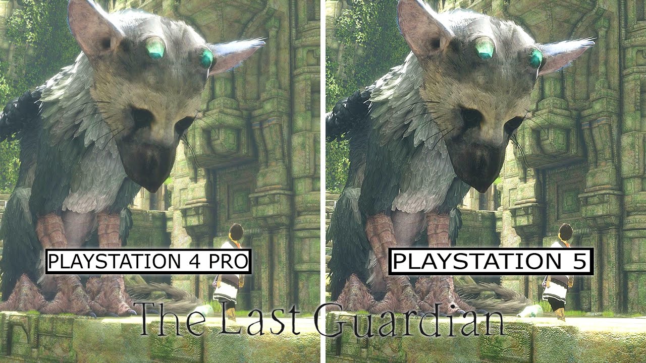 Snavset sædvanligt Akrobatik The Last Guardian PS5 VS PS4Pro Graphics Comparison First 10 Minutes  Gameplay 60 FPS VS 30 FPS - YouTube