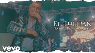 Banda Puro Grullo - El Tulipán (Video Oficial)