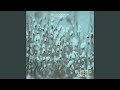 Saghar Farbodarwish Remix 