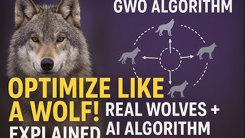 Gray Wolf Algorithm Explained Through Real Wolf Behavior | Cinematic + Animation + Real Footage