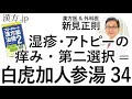 【漢方.JP】湿疹・アトピーの痒み・第二選択=白虎加人参湯34【新見正則が解説】