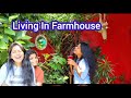 Living in farmhouse  healthy lunch beauty products reviewhair care tips