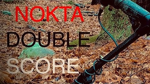 Metal detecting with the Nokta Double Score in the woods.