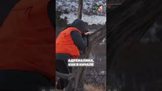 Личная история члена команды RikaNV о переходе в "высокоточку". 🎯📚