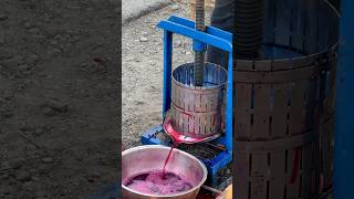 Pomegranate juicer | Uzbekistan, Bukhara region, Gijduvon district. 🧃🥤