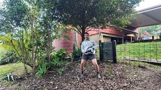 Starting Work On Our Australian Homestead