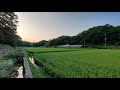 4K Japan Walk - Rural Yokohama? Jikecho to Ichigao - Slow TV