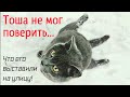 💔Кот полз по снегу и просил помощи 😭  после  смерти хозяина он оказался на улице /help save the cat