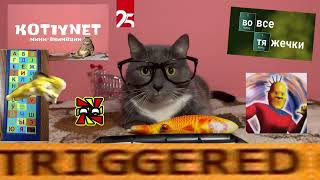 THE SHORTEST RYTP ON THE CHANNEL