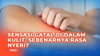 Gatal di Dalam Kulit Tidak Hilang meski Sudah Digaruk, Ternyata Gara-Gara Ini