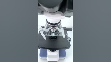 Fish oil magnified 400X is so cool! #underthemicroscope #microscope #science