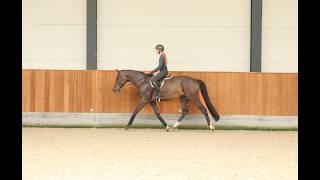 Cartier flatwork