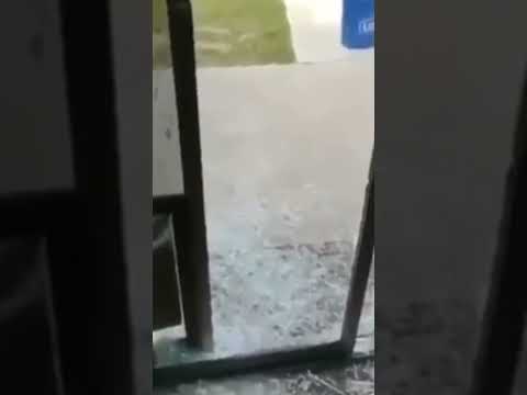 Возьми себе собаку говорили они, будет весело утверждали они..🤣