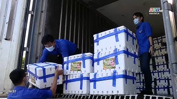 Hỗ trợ tiêu thụ vải thiều Bắc Giang tại Đà Nẵng | BRTgo