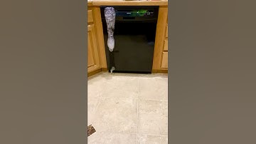 CLR to clean dishwasher with bubbles