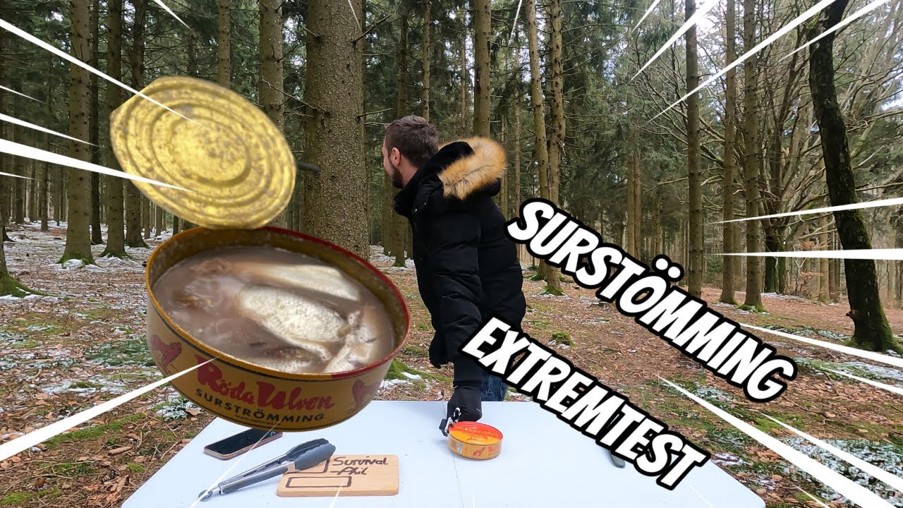 SURSTRÖMMING Challenge by SurvivalPhil YouTube