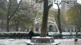 Mutt Lee At Madison Park Nyc