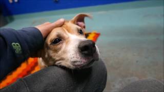 Momma - A1103202 - Brooklyn ACC