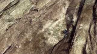 cliffhanger - halo 4 trick jump spot + kill