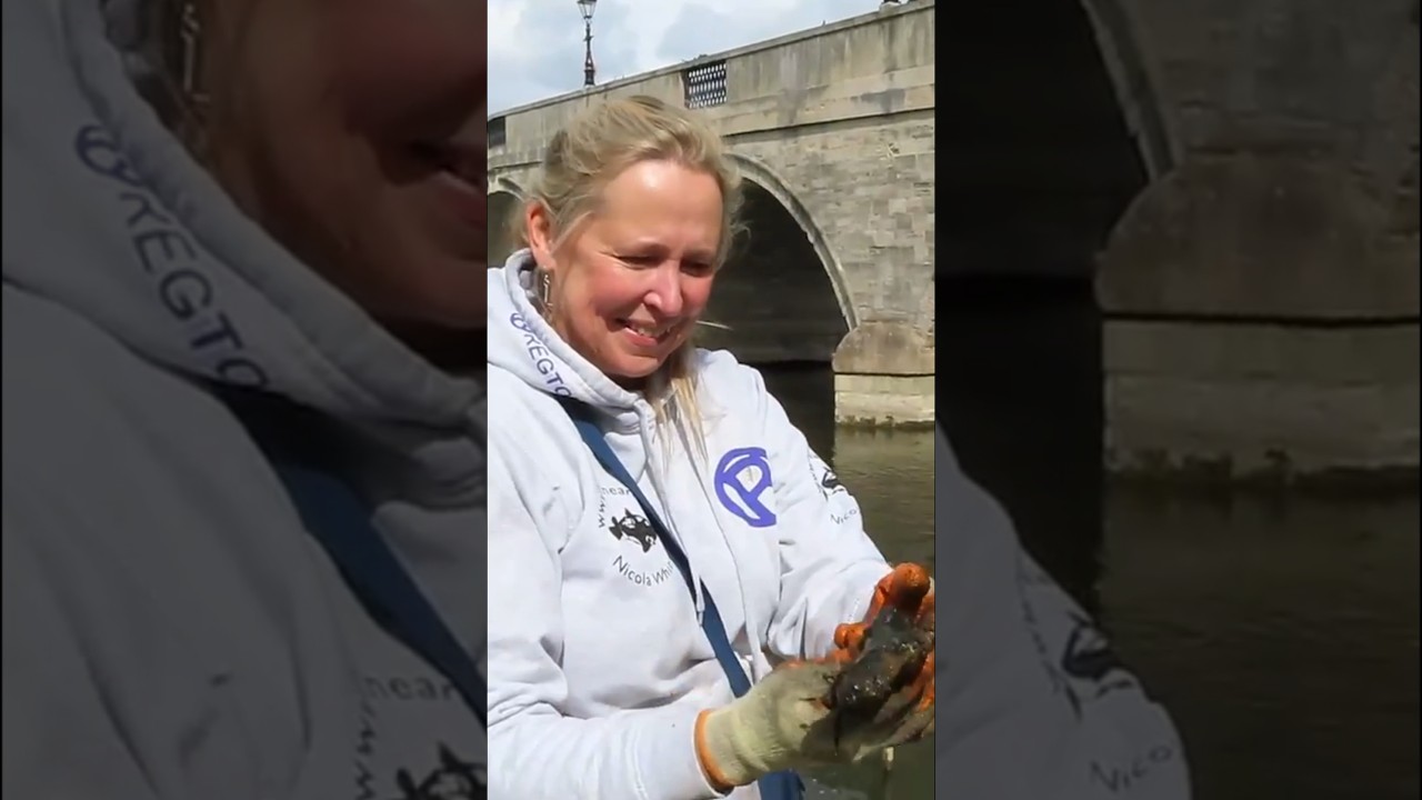 Absolutely CRAZY What We Found Magnet Fishing. #shorts