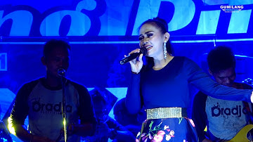TANDA CINTA - EVA AQUILA - DRADJA JINGGOTAN BIMA AUDIO FULL LIGHTING