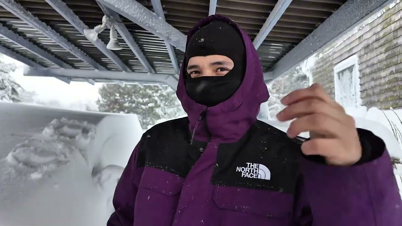 Amanecimos en la Era de Hielo 