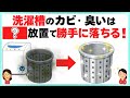 【簡単】洗濯槽の黒カビがごっそり消える裏技と発生させない神習慣｜生活がラクになるライフハック雑学