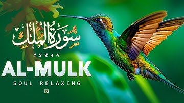 Surah Al-Mulk سورة الملك | Soulful voice will touch your heart إن شاء الله