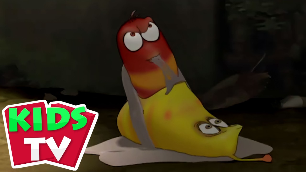 Larva Tyggegummi Sjov Tegnefilm Og Flere Animerede Episoder For Børn