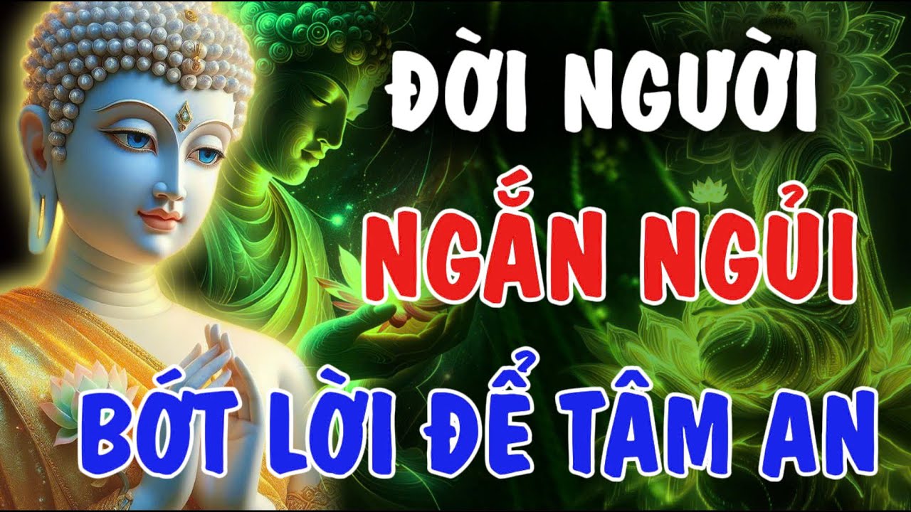 ĐỜI NGƯỜI NGẮN LẮM -  LO THỊ PHI ĐỂ LÀM GÌ, MẶC KỆ ĐỪNG HƠN THUA | Phật Từ An Nhiên