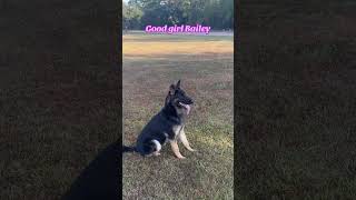 Good Girl Bailey