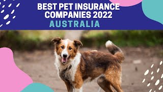 Best Pet Insurance Companies In Australia 2022