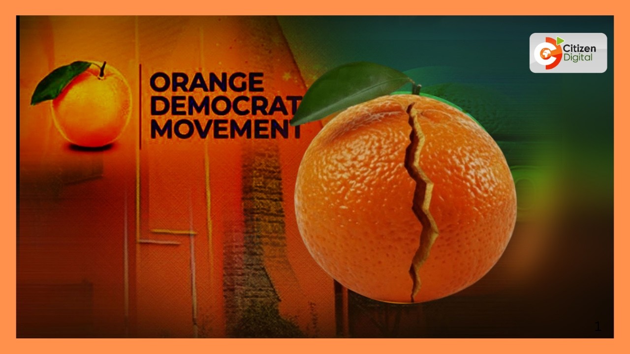 ODM says 10-point agenda has no deadline; UDA-ODM parliamentary meeting set for review next week