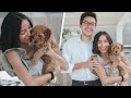 Bailey and Asa GET A DOG | Meet Jack Jack 🐶