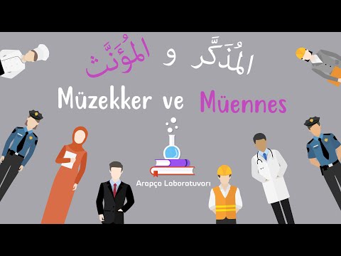 Arapça Müzekker Müennes İsimler/المذكر و المؤنث /Arabic Mascular and Feminine Words