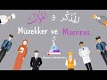 Arapa mzekker mennes simler   arabic mascular and feminine words