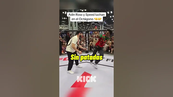 Speed and Adin Ross fight in the Octagon 💀 #shorts #stream