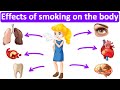 What are the effects of smoking on the body   easy science lesson