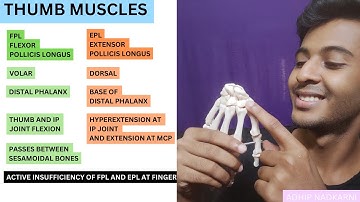 EXTRINSIC MUSCLES OF THUMB( HAND  COMPLEX BIOMECHANICS)Physiotherapy