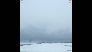 LAMBRELLA - Snow