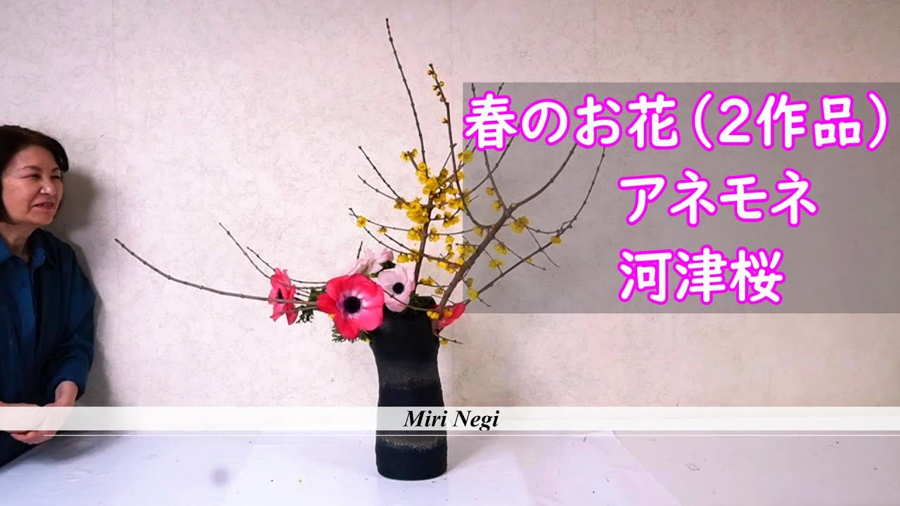河津桜・蝋梅・春の花】【生け花】_Sogetsu Ikebana - YouTube